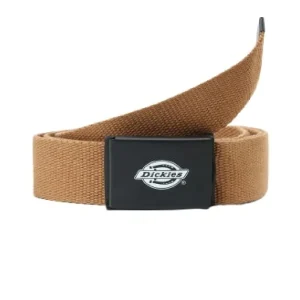 Dickies Cintura unisex Orcutt beige scuro