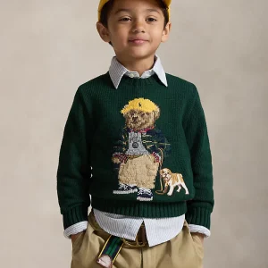 Ralph Lauren Pullover