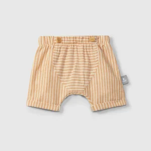 Shorts pull up in tessuto rigato